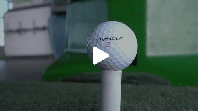 Wasp Inventory - Top Golf Case Study